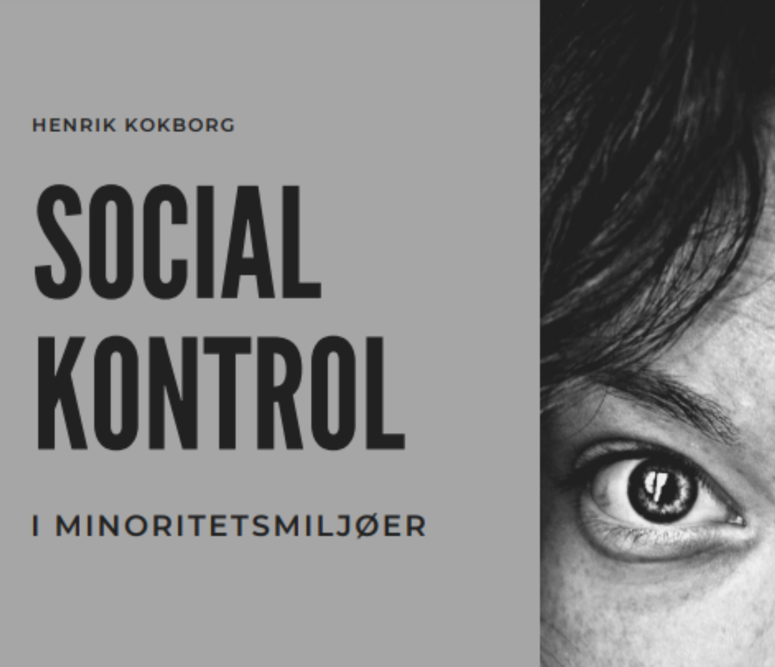 Social kontrol, Henrik Kokborg