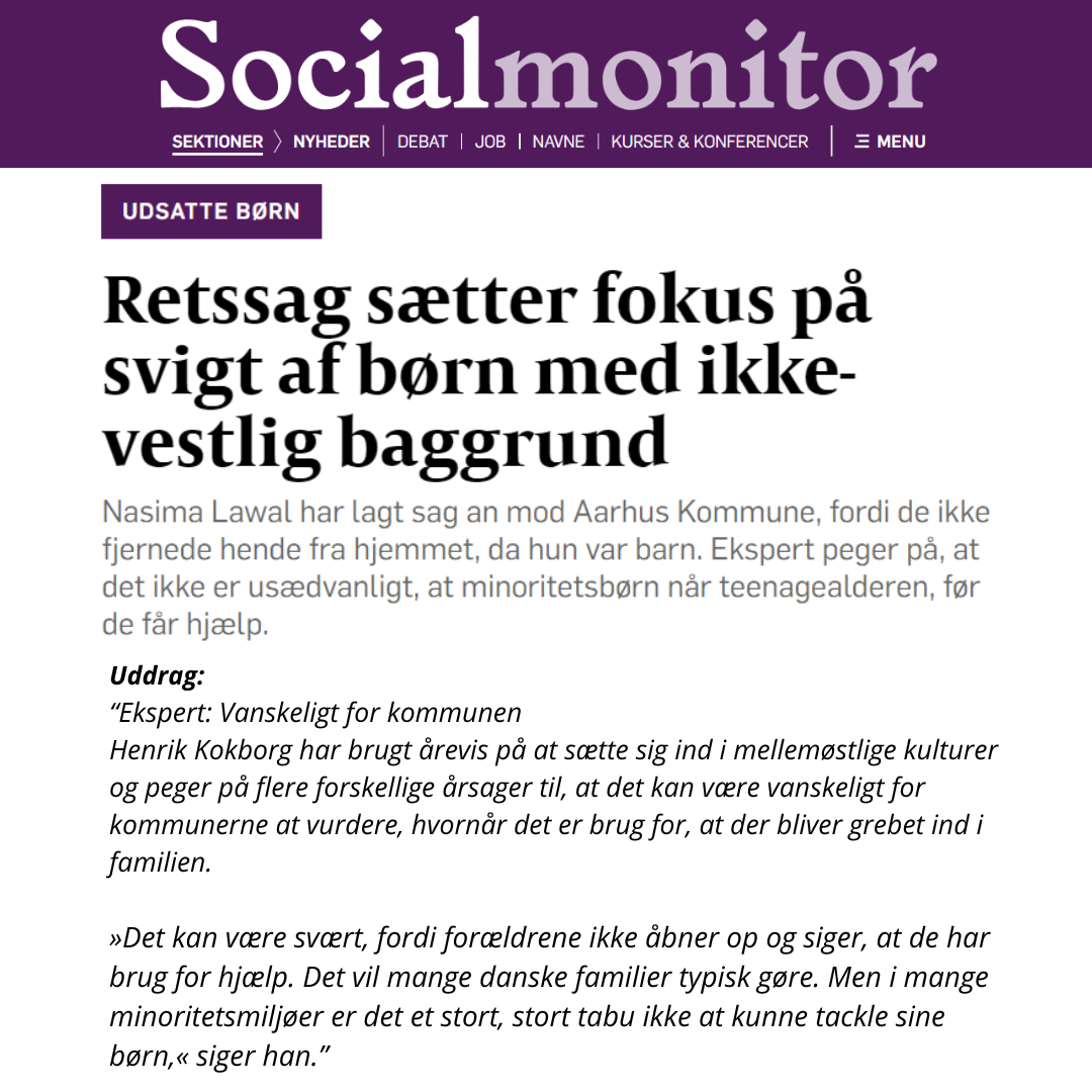 Henrik Kokborg, Socialmonitor